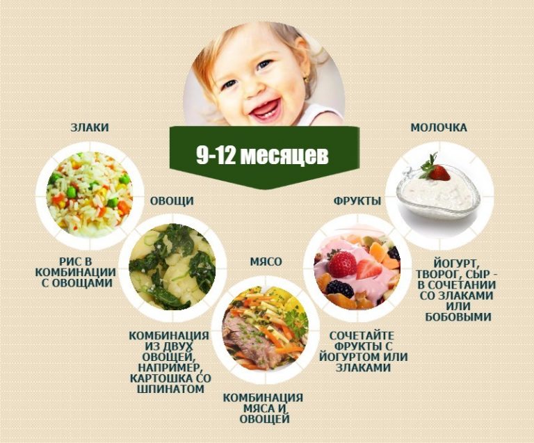 Правильное Питание Для Ребенка 10