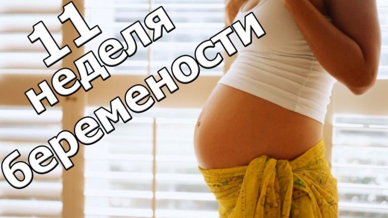 11 неделя беременности: как чувствует себя мама и что происходит с малышом