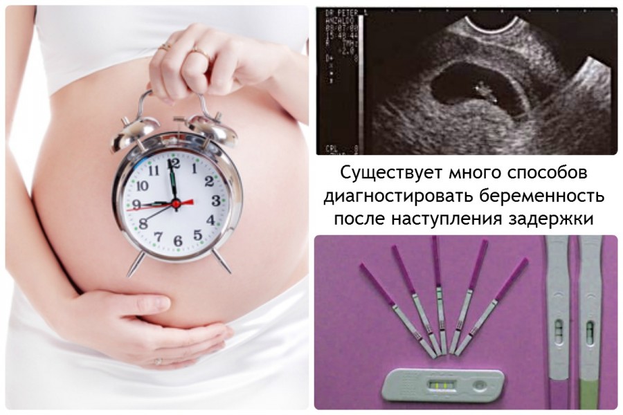 3 недели беременности - ощущение матери, особенности питания и развитие плода
