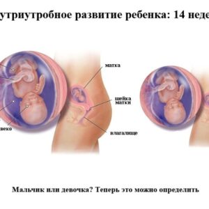 Как сделать горло красным: практическое руководство