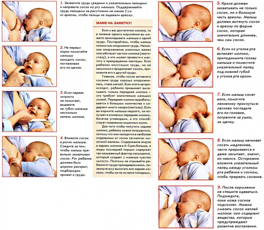 Ребенок 1 месяц кормление развитие